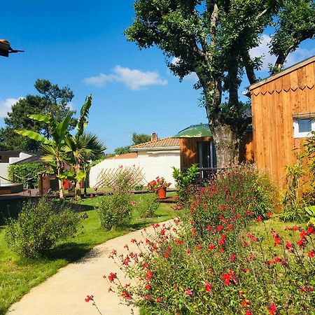 Les Petits Chalets De Kzo Ла-Тест-де-Бюш Экстерьер фото