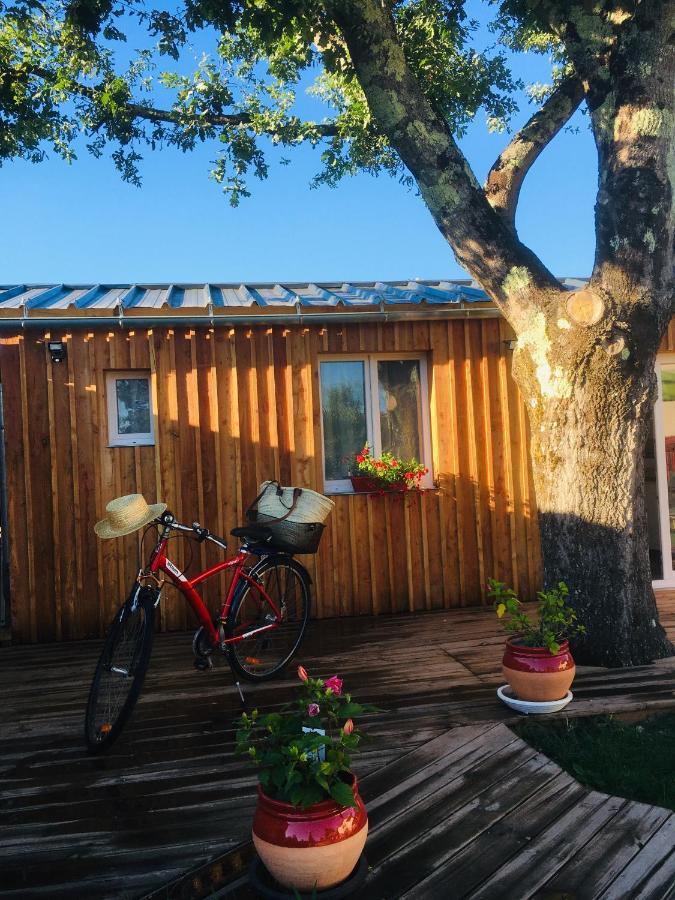 Les Petits Chalets De Kzo Ла-Тест-де-Бюш Экстерьер фото