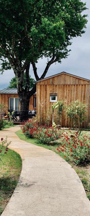 Les Petits Chalets De Kzo Ла-Тест-де-Бюш Экстерьер фото